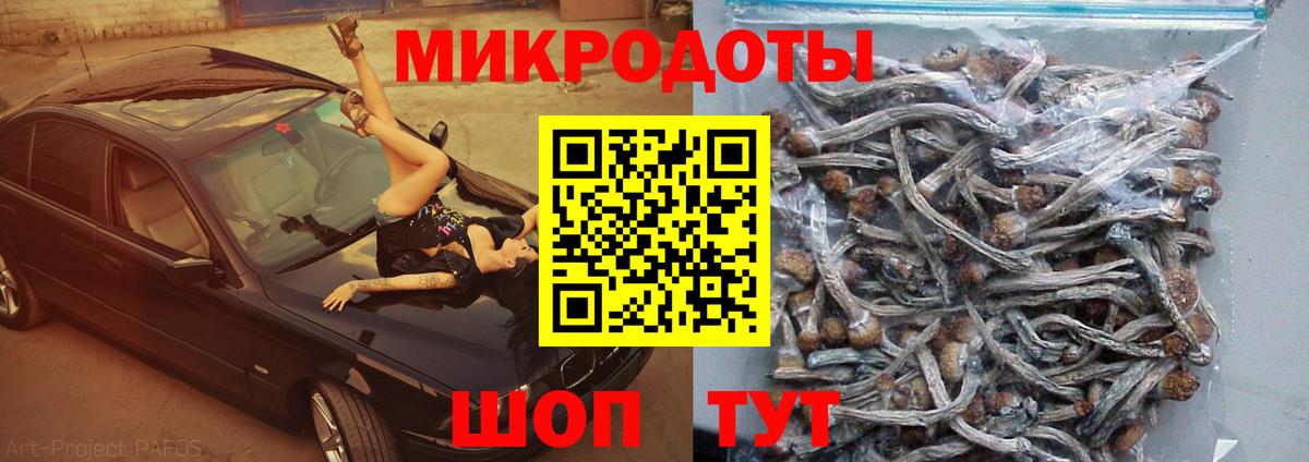 Сорочинск  Галлюциногенные грибы мухоморы  Вход с VPN 